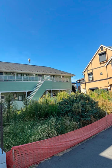 草刈り before